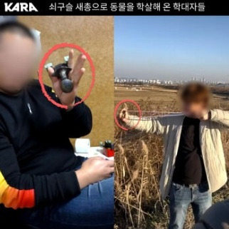 쇠구슬 새총으로 새 등 야생동물을 사냥해 온 외국인들. 동물권행동 카라 제공