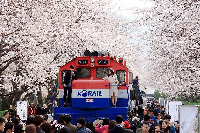 진해 경화역. 경남도청 제공