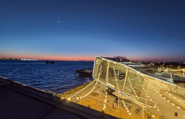 온라인 커뮤니티