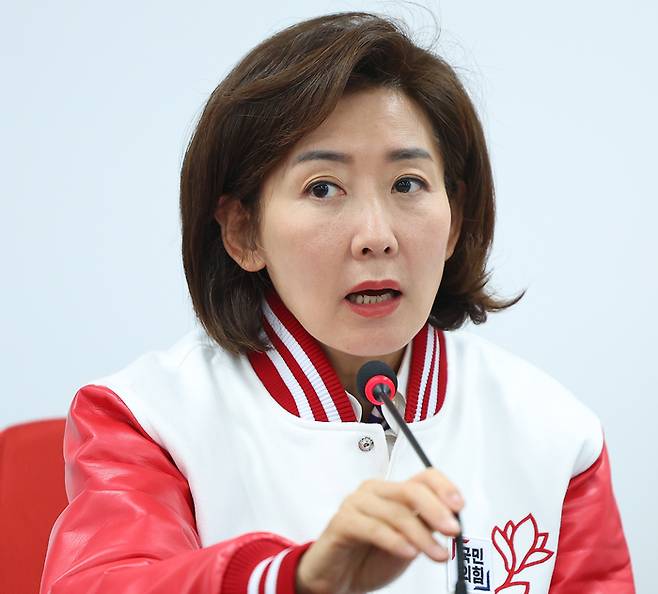 나경원 국민의힘 공동선대위원장이 17일 오전 서울 여의도 중앙당사에서 열린 중앙선거대책위원장 회의에서 발언하고 있다. 연합뉴스