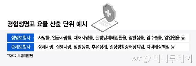 경험생명표 요율 산출 단위 예시/그래픽=윤선정