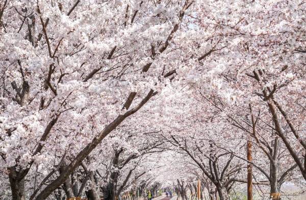 온라인 커뮤니티