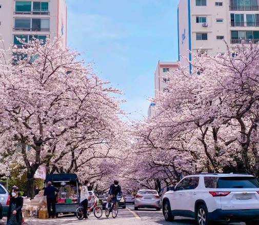 온라인 커뮤니티