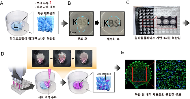 하이드로젤이 탑재된 3차원 생체재료 복합칩을 만들어 보관한 뒤 실험할때 꺼내 바로 사용해도 세포를 배양하는데 문제가 없다. KBSI 제공