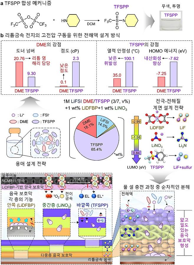 TFSPP 합성 메커니즘 및 용매와 리튬 금속전지의 고전압 구동을 위한 전해액 설계 방식.[KAIST 제공]