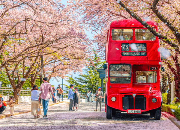 온라인 커뮤니티