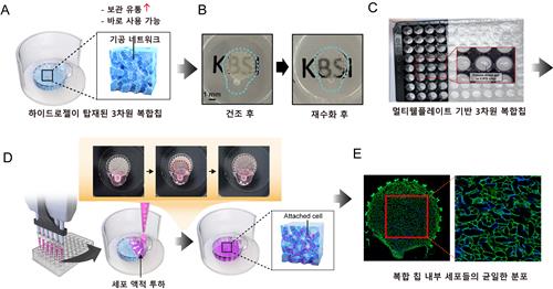 연구 프로세스 [한국기초과학지원연구원 제공. 재판매 및 DB 금지]