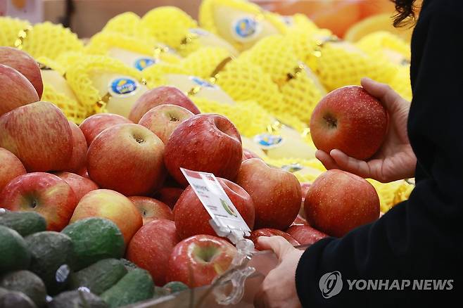 사과 고르는 시민 (서울=연합뉴스) 진연수 기자 = 사과와 배 소매가격이 정부의 대규모 할인 지원과 유통업계 행사 등으로 일시적으로 하락세로 돌아섰다. 19일 한국농수산식품유통공사(aT) 농산물유통정보에 따르면 전날 배(신고·상품) 10개 소매가격은 4만1천551원으로 전 거래일(4만5천381원)보다 8.4% 내렸다. 사과(후지·상품) 10개 소매가격도 전날 2만4천148원으로 전 거래일(2만7천424원)보다 11.9%나 하락했다. 사진은 이날 서울 시내 한 대형마트에서 사과를 고르는 시민. 2024.3.19 jin90@yna.co.kr