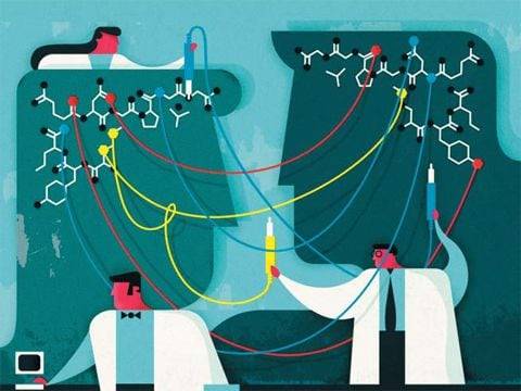 과학자들은 ‘사랑의 호르몬’ 옥시토신으로 외부인에게 적대적인 행동을 누그러뜨려 사회적 갈등을 방지할 수 있다고 본다. 그림 속 뇌에 그려진 분자구조가 바로 옥시토신이다. 최근에는 옥시토신으로 사회성을 회복시켜 자폐증이나 우울증 같은 정신질환을 치료하려는 연구도 진행되고 있다./조선DB