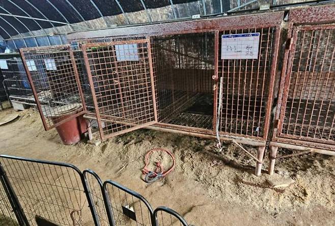 A foster animal shelter in Hongseong-gun, Chungcheongnam-do, empty after a rescue. Courtesy of Lucy‘s Friends