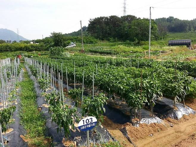 [창원=뉴시스] 경남 창원시 농촌체험 휴양마을 주말농장. (사진=창원시청 제공). 2024.03.20. photo@newsis.com *재판매 및 DB 금지