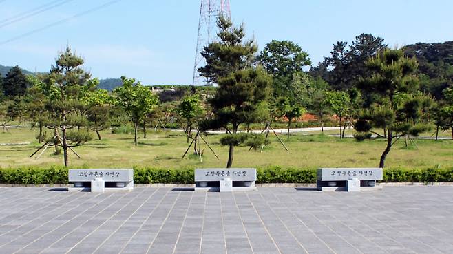 고창푸른숲자연장 전경. 고창군 제공