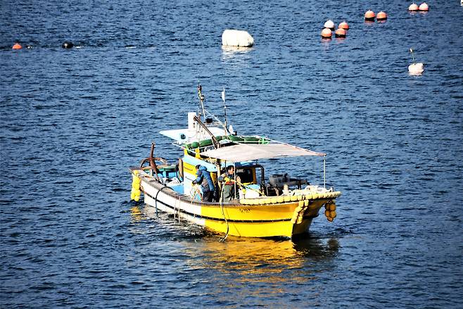 /김준 제공 개조개를 채취하는 잠수기어선