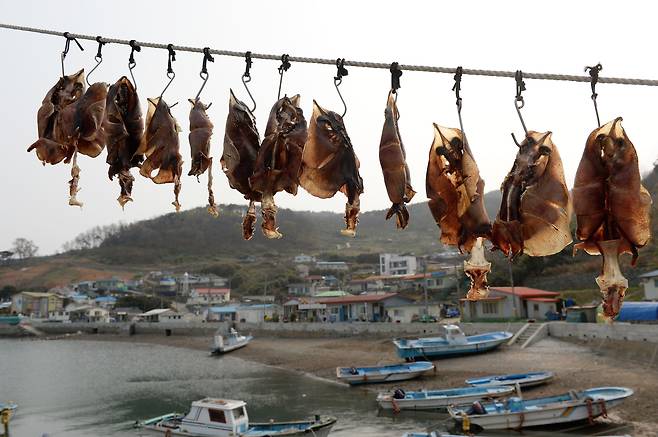 풍도마을 전경