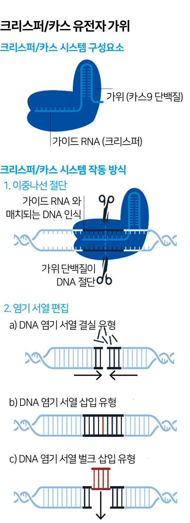그래픽=송정근기자