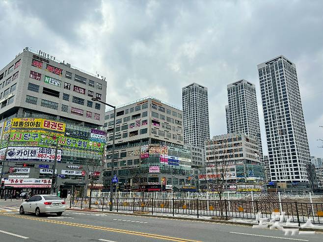 세종시 나성동 일대. 김미성 기자