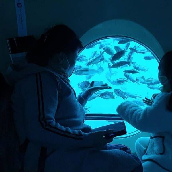 제주도 체험 BEST 5 / 온라인 커뮤니티