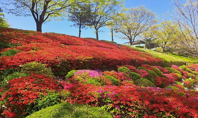 영인산  [아산시 제공. 재판매 및 DB 금지]