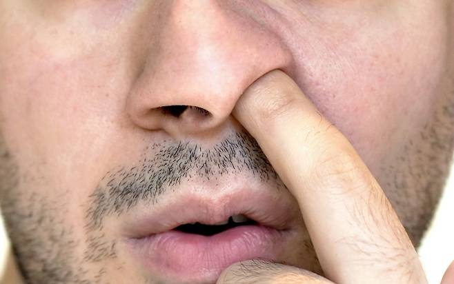 사진 = 클립아트코리아