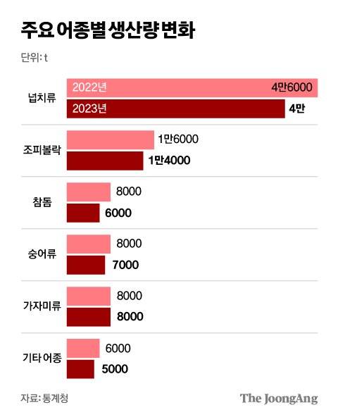 김영희 디자이너