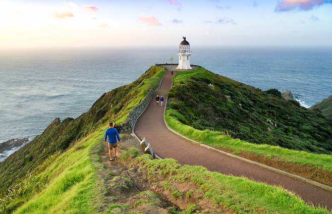 뉴질랜드 북쪽 땅끝마을