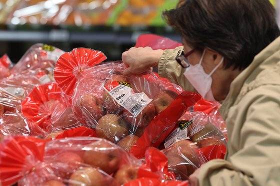 과일과 채소 등 농산물 물가가 급등하고 있는 가운데 18일 오전 서울 시내 한 대형마트에서 한 시민이 사과를 고르고 있다. 연합뉴스