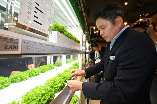 정용진 신세계그룹 부회장이 3일 인천 이마트 연수점을 찾아 식품 코너를 둘러보고 있다.  최혁 기자