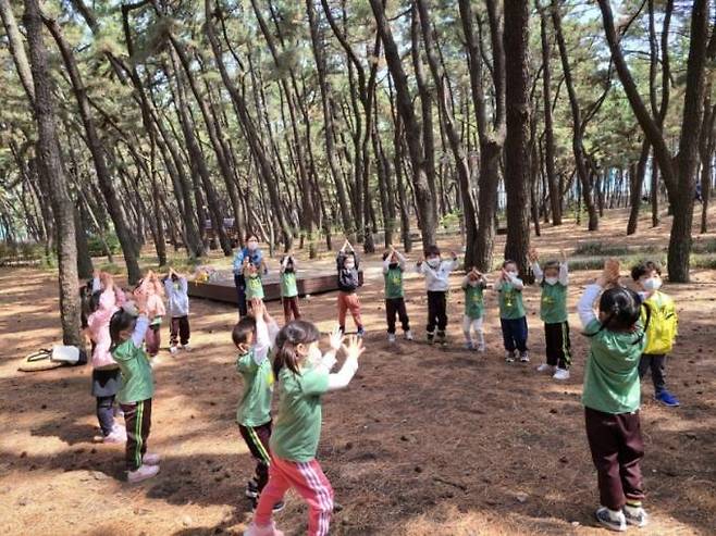 송도 솔밭에서 숲 체험을 하고 있는 어린이들 모습. 포항시 제공