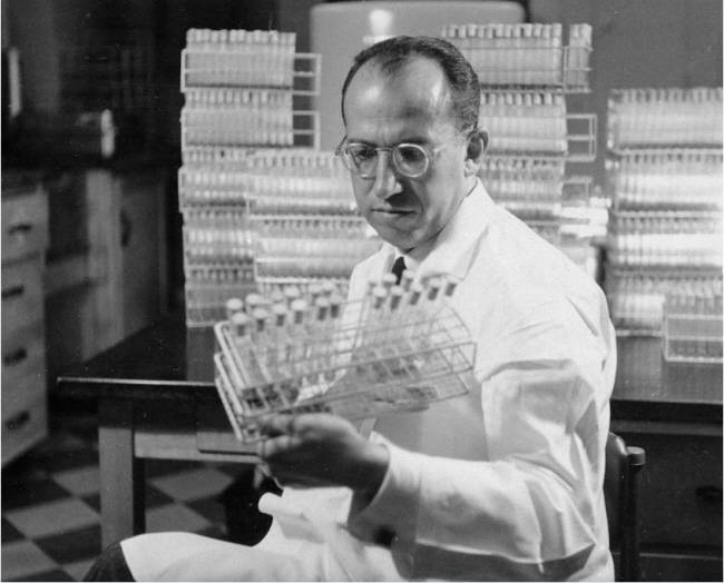 조너스 소크 박사가 1954년 10월 미국 피츠버그 실험실에서 시험관을 들고 있다.  AP 연합뉴스