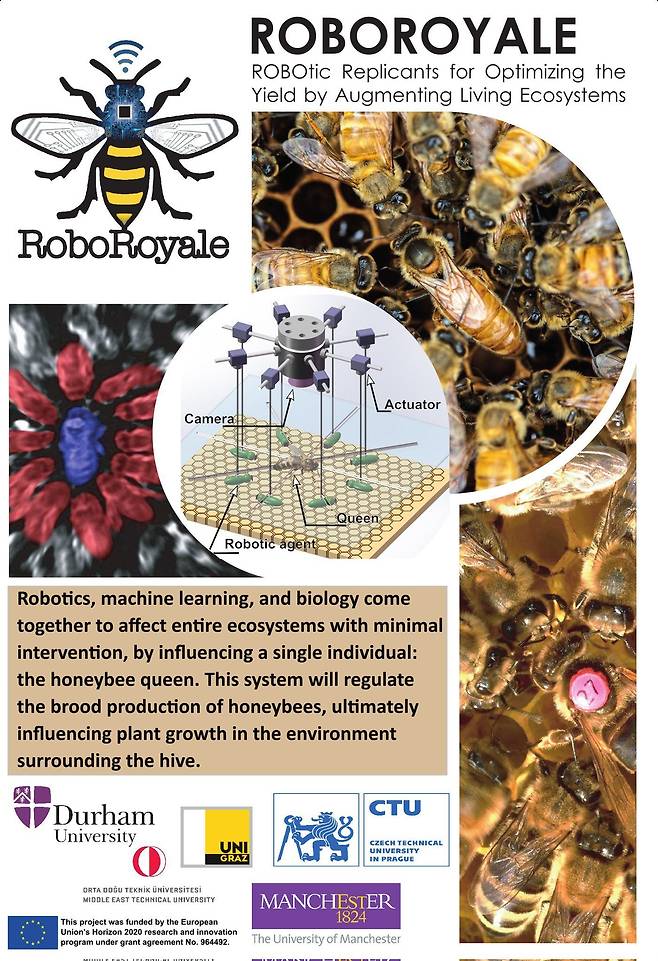 로보로열 프로젝트 연구진은 유럽연합의 지원을 받아 여왕벌을 관리하는 로봇 기술을 개발하고 있다./RoboRoyale