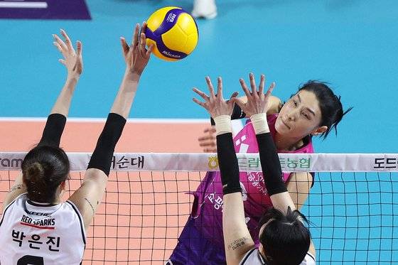 26일 V리그 여자부 플레이오프 3차전에서 공격하는 흥국생명 김연경. 뉴스1