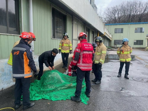 소방당국이 26일 오전 성남시 중원구 상대원동 공장건물 부지에서 타조를 포획하고 있다. 경기도소방재난본부 제공