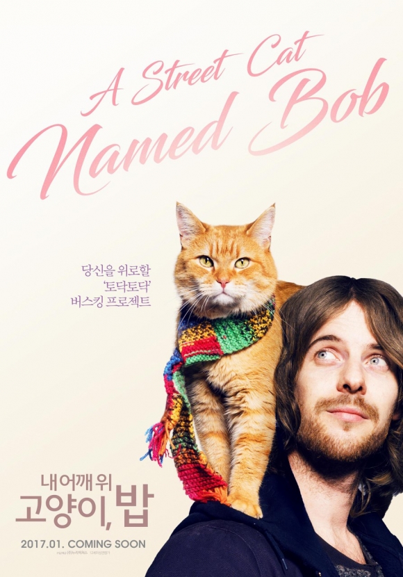 노숙자와 길고양이의 우정을 그린 영화 ‘내 어깨 위 고양이 밥(2016)’ 에 주인공 ‘밥’ 고양이 포스터.