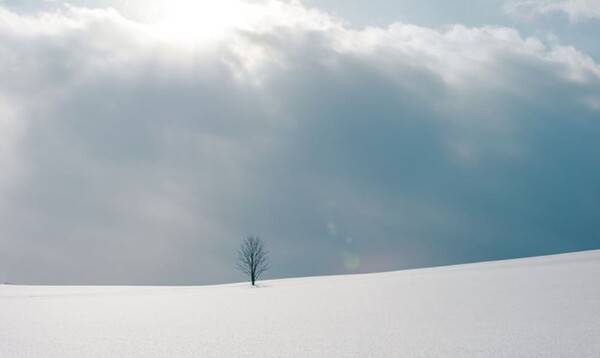 일본 사진 명소 / 온라인 커뮤니티