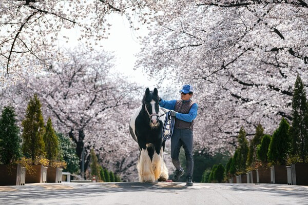 렛츠런파크