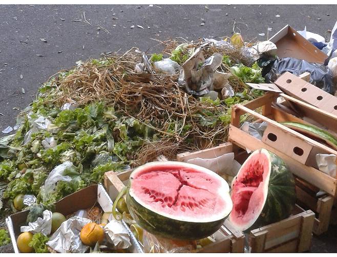 유엔 환경프로그램(UNEP)은 2022년 한 해 동안 전 세계적으로 먹을 것이 10억톤 넘게 쓰레기로 버려졌다고 27일(현지시각) 밝혔다. 음식물쓰레기지수 보고서 이미지 갈무리