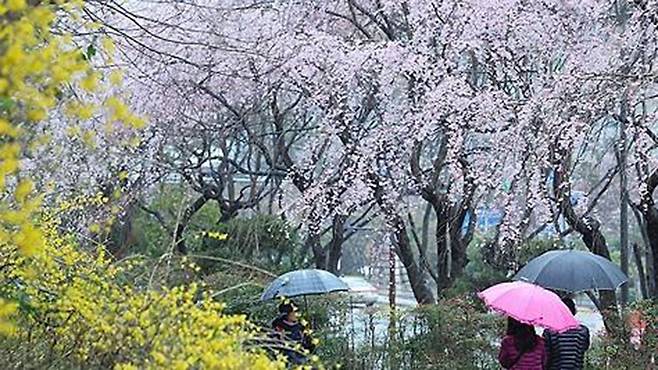 자료사진 제공: 연합뉴스