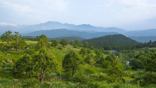 퀸즈 일가가 탁 트인 숲에서 사격과 사냥을 즐기는 모습은 경북 군위의 사유원에서 찍었다. 32만3082㎡(약 10만평)에 이르는 수목원이다. 사진은 수백년된 모과나무들이 뿌리내린 풍설기천년 일대의 모습. 권혁재 기자