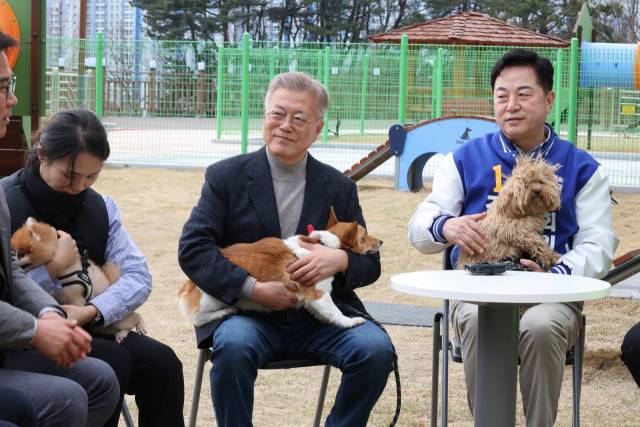 ▲문재인 전 대통령이 지난 22일 오후 경남 양산시 유기동물보호소와 반려동물지원센터를 찾아 유기견을 돌보고 간담회를 갖고 있다. 사진 오른쪽은 김두관 민주당 경남 김해을 후보. ⓒ연합뉴스