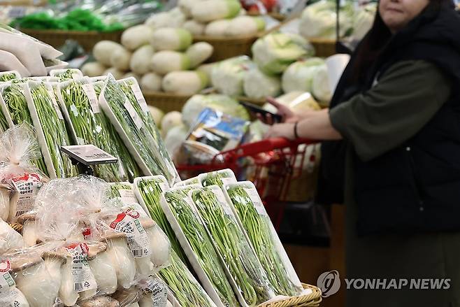 ‘살까? 말까?’ (서울=연합뉴스) 윤동진 기자 = 농산물 등 체감 물가가 뛰면서 소비자들의 향후 1년 물가 전망에 해당하는 기대인플레이션율이 다섯 달 만에 올랐다. 한국은행이 26일 발표한 '소비자동향조사' 결과에 따르면 3월 기대인플레이션율은 전월보다 0.2%p포인트(p) 오른 3.2%를 기록했다. 황희진 한은 통계조사팀장은 기대인플레이션율 반등에 대해 "농산물 등 체감물가가 상승한 것이 가장 큰 요인"이라며 "국제유가 오름세, 하반기 공공요금 인상 가능성도 영향을 미쳤다"고 설명했다. 사진은 이날 오후 서울의 한 대형마트의 농산물 코너. 2024.3.26 mon@yna.co.kr