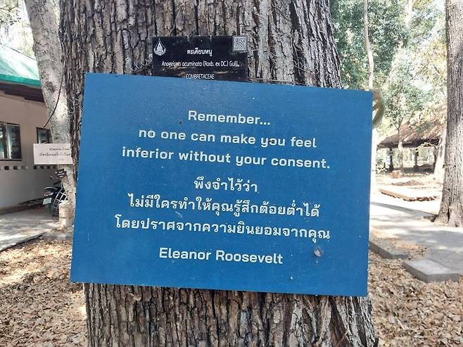 기억하라, 당신이 인정하지 않으면 누구도 당신에게 열등감을 줄 수 없다.