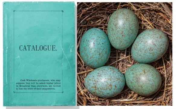 카탈로그 '블루북'과 티파니의 브랜드 컬러에 영감을 준 로빈스 에그. /사진 출처=타파니앤코, Bird Spot