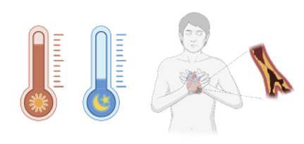 기온 변화에 민감한 급성심근경색 [논문 발췌]