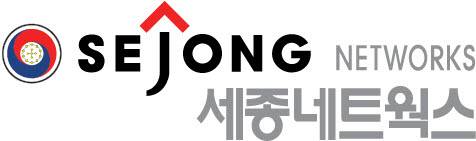 세종네트웍스 로고.