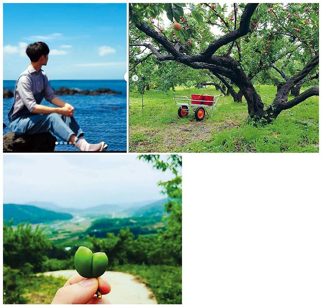 최서현은 자연과 농업에 대한 게시글을 올려 사람들과 소통했다. 최서현 인스타그램 갈무리