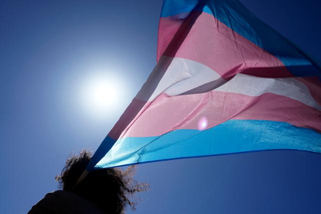 국제 트랜스젠더 가시화의 날인 31일 포르투갈 리스본에서 한 시민이 트랜스젠더를 상징하는 깃발을 흔들고 있다. 리스본=AP 연합뉴스