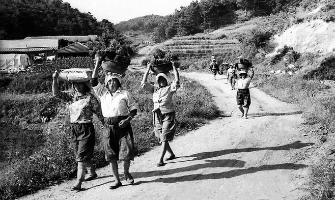 ▲'대지에서 일하는 어머니'(1987년, 영암). 사진 : 본인 제공