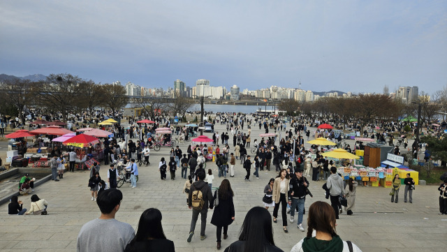 지난달 31일 여의도 봄꽃축제 현장을 찾은 상춘객들 . 채민석 기자