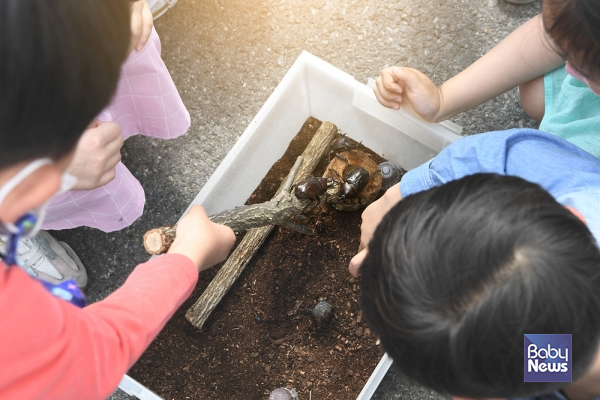 아동의 국적에 따라, 사는 지역에 따라, 다니는 기관에 따라 평등하게 누려야 할 교육의 권리에 차별이 생긴다는 지적이 계속해서 이어지고 있다. ⓒ베이비뉴스