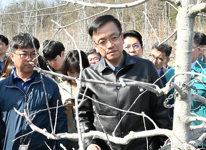 (서울=뉴스1) = 최상목 경제부총리 겸 기획재정부 장관이 1일 경북 대구시 군위군 한 사과 생산 농가를 방문, 올해 사과 생육 관련 현황과 개화기 저온피해 대응 상황을 살펴 보고 애로사항을 청취하고 있다. (기획재정부 제공) 2024.4.1/뉴스1 Copyright (C) 뉴스1. All rights reserved. 무단 전재 및 재배포, AI학습 이용 금지. /사진=(서울=뉴스1)